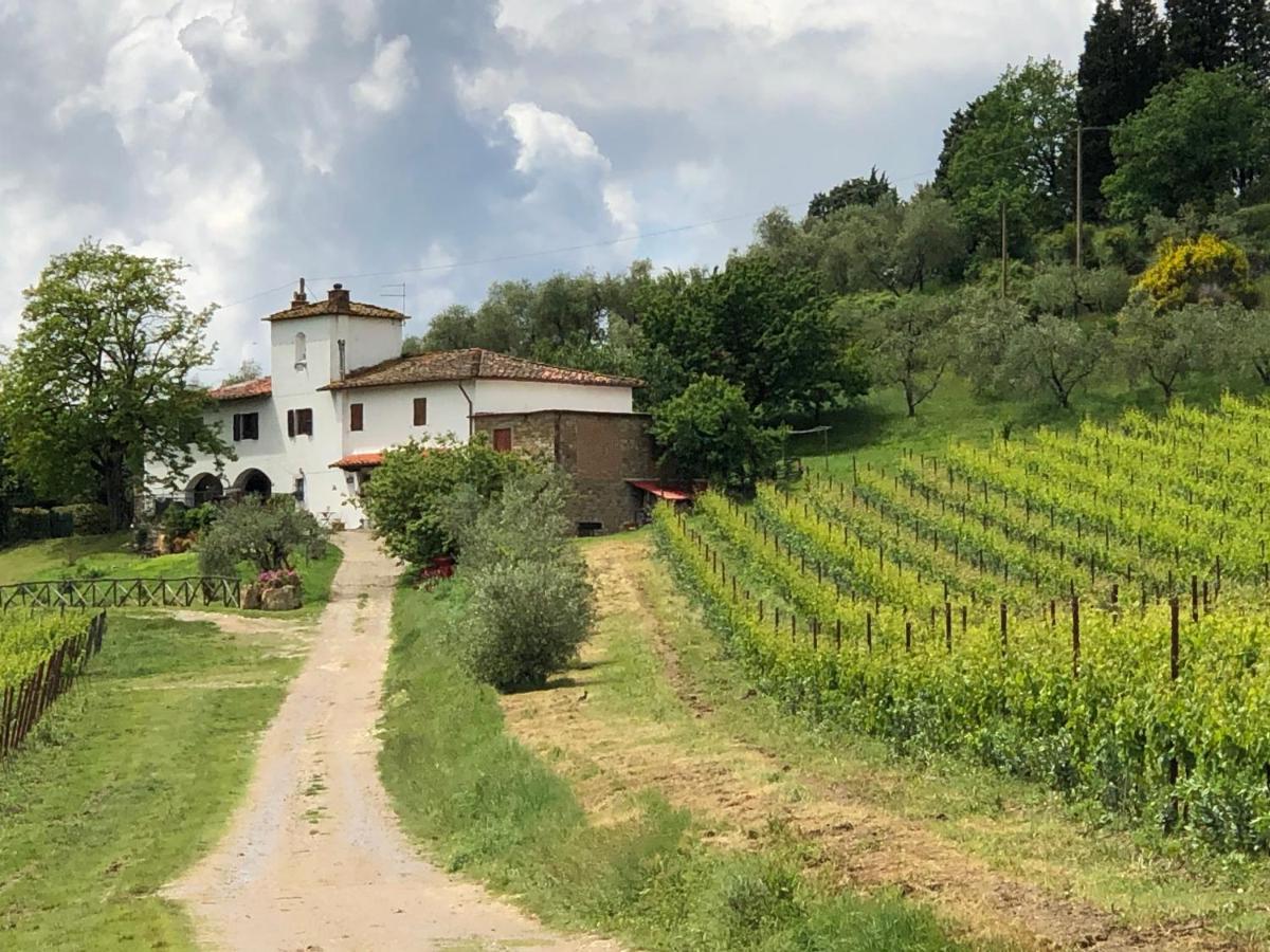 Azienda Agricola Il Poggiolino Villa Pelago Luaran gambar