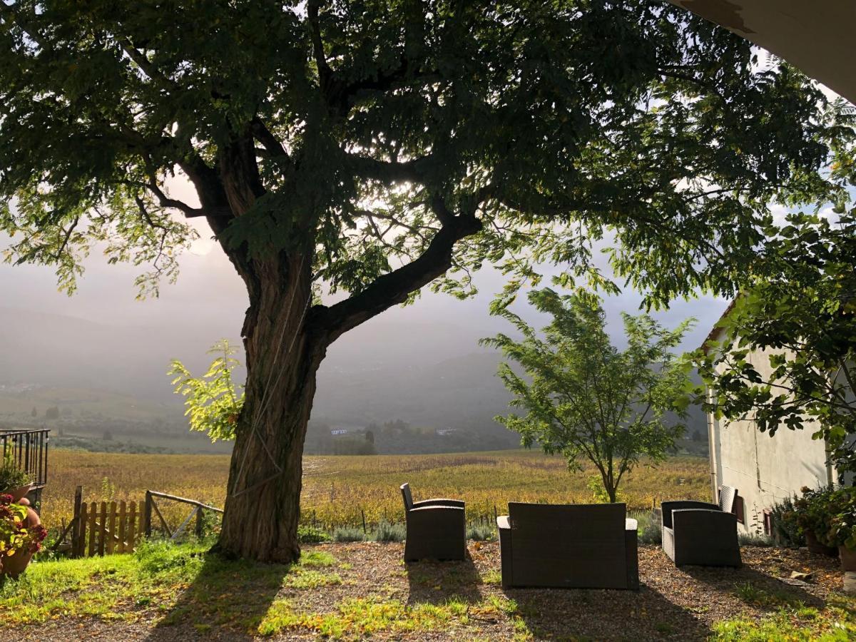 Azienda Agricola Il Poggiolino Villa Pelago Luaran gambar