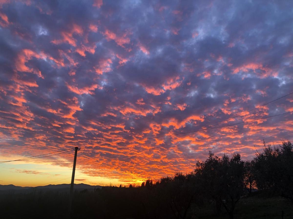 Azienda Agricola Il Poggiolino Villa Pelago Luaran gambar