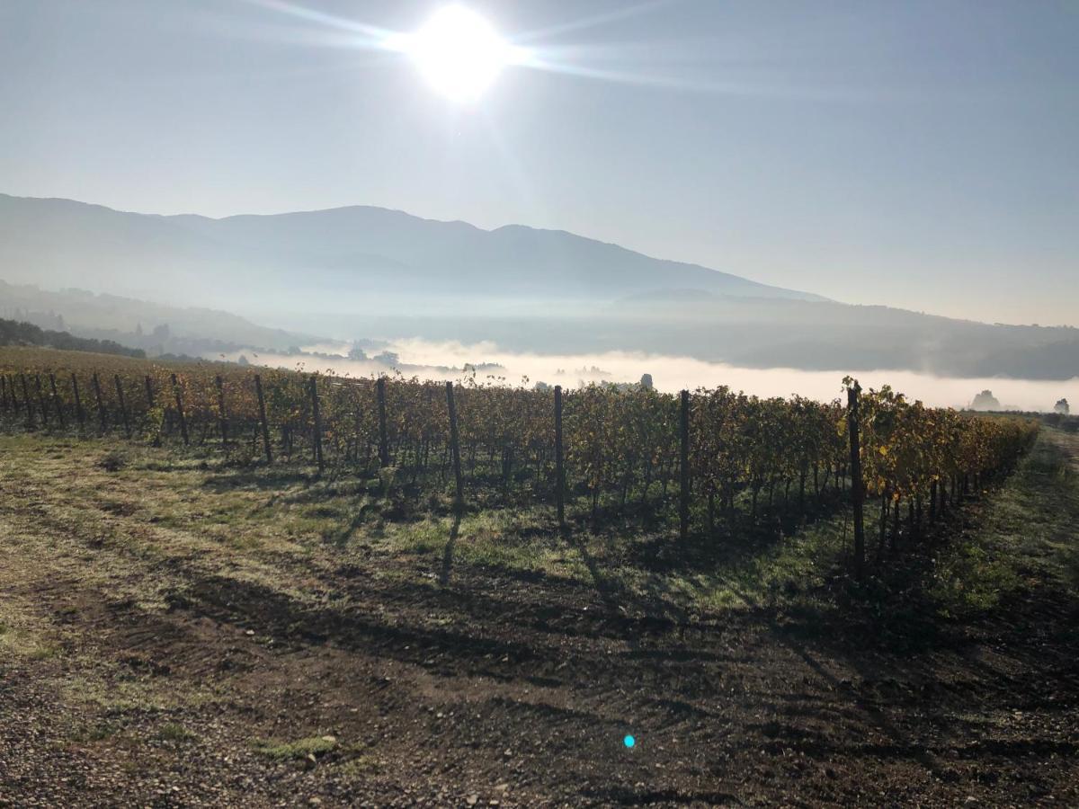 Azienda Agricola Il Poggiolino Villa Pelago Luaran gambar