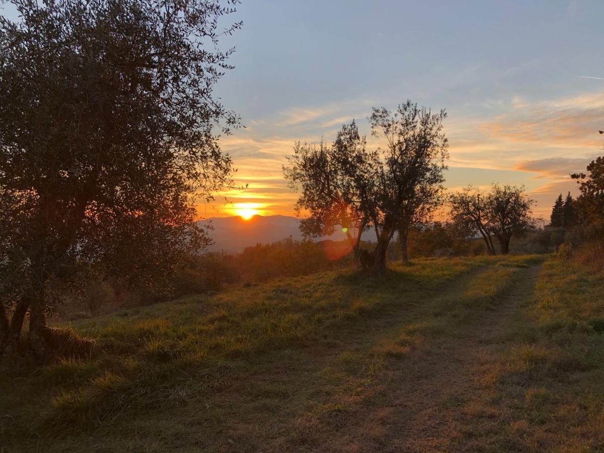 Azienda Agricola Il Poggiolino Villa Pelago Luaran gambar